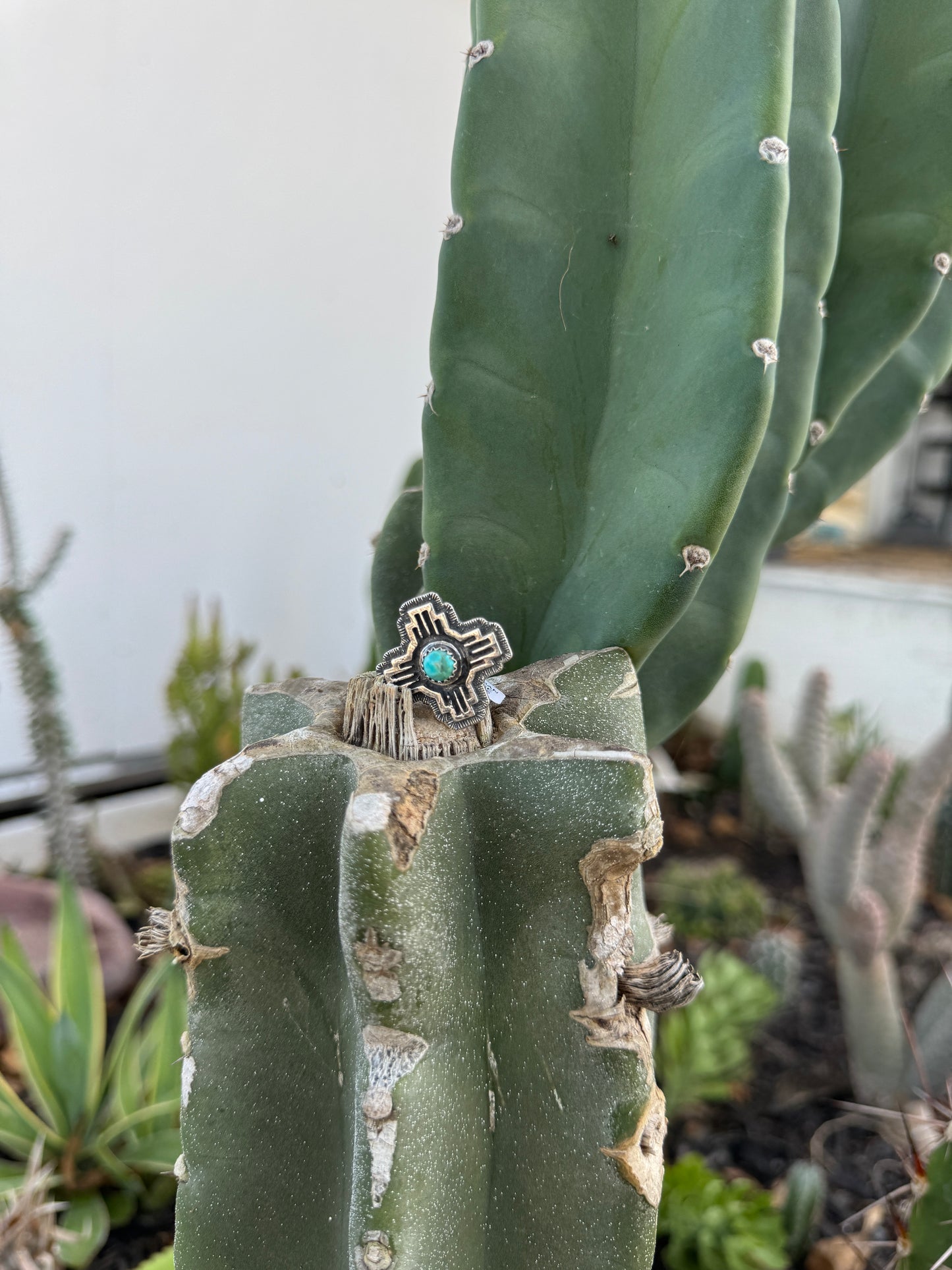 The Zia Ring